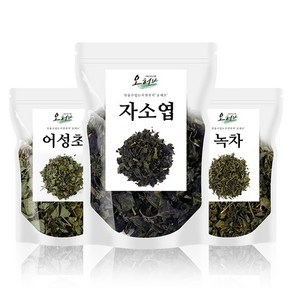 어성초 자소엽 녹차 400g 어자녹차