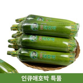 국내산 애호박 인큐애호박 특품 (개당300g 이상), 300g 내외, 5개