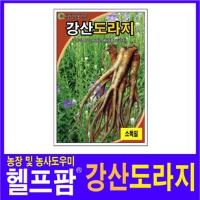 헬프팜 강산도라지 2000립 씨앗 종자 그린하트바이오, 1개