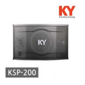 금영 노래방용 스피커 KSP-200 10인치 2Way 3Speake 500W