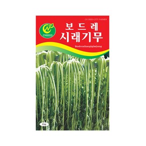 (CN) 시래기무 씨앗 (15g), 1개