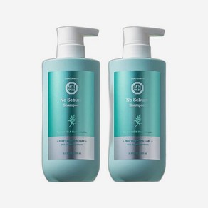 댕기머리 유수분 청소년 노세범 샴푸 500ml 1+1 245523, 2개