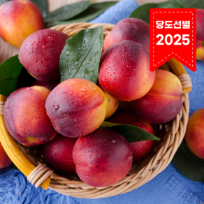 [경북산지직송] 꿀당도 잠깐 만나는 오월도 천도복숭아, 1박스, 혼합 2kg