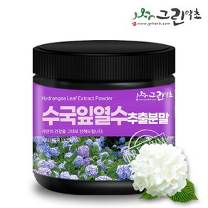 그린약초 수국잎 열수 추출물 분말 가루 국산, 100g, 1개