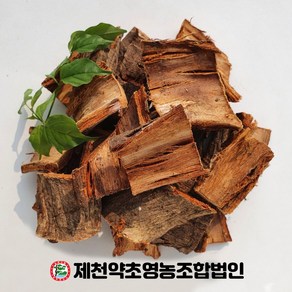 국내산 유근피 500g 제천약초영농조합