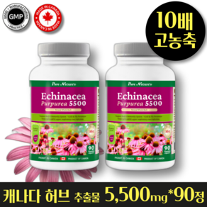 헬시마트 캐나다 감기 비염 염증에 좋은 천연항생제 10배 고 농축 5500mg 최고함량 면역력 높이는 기침 가래 콧물 기관지염 항암 항염 암환자 영양제 에키나포스, 2개, 90정