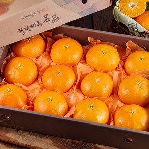 [재구매1위]제주 카라향 프리미엄 명절선물세트 과일선물세트, 1개, 옵션1. 선물세트1번
