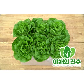 야채의진수 유러피안 상추 미니로메인 샐러드, 1박스, 1kg