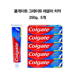 콜게이트 그레이트 레귤러 플레이버 치약 250g * 5EA, 5개