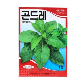 경신종묘 곤달비씨앗 곤달비 1g, 1개