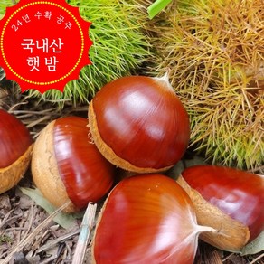 밤연구소 [공주정안] 24년 햇밤 최상품질 특 알밤 1kg+1kg, 1박스, 2kg