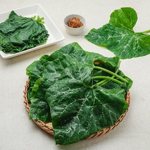 [쑥이네] 부드러운 하우스 어린 호박잎, 1kg, 1개
