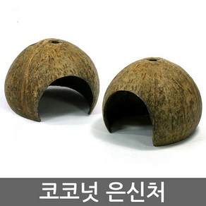 뉴런 코코넛은신처 (매우졸귀), 1개