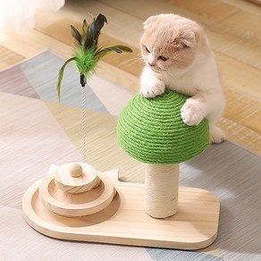 가또나인 고양이 턴테이블 그린 버섯 스크래쳐 원목 장난감, 1개, Geen