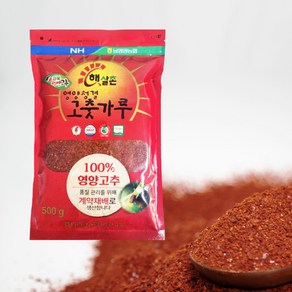 햇고춧가루 2024년산 남영양농협 매운맛 햇살촌 영양 청결 고춧가루 500g 김치용 일반용, 1개