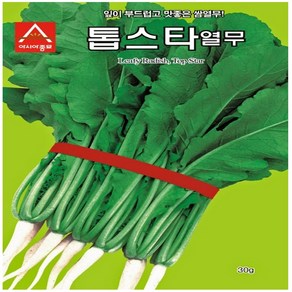 아시아 톱스타열무 씨앗 20g, 1개