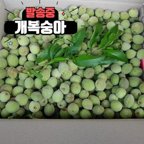 [발송중] 지리산 하동 개복숭아 10kg 수확시기 햇 돌복숭아 5kg 판매, 1박스