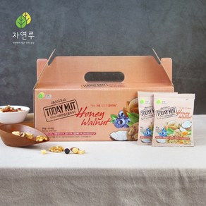 투데이넛 너트한줌 꿀호두 견과 선물세트 30개입, 600g, 1세트