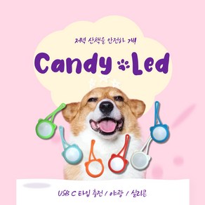 반려견 충전식 LED 블링커 실리콘 무소음 팬던트 야간산책 용품, 1개, 그린