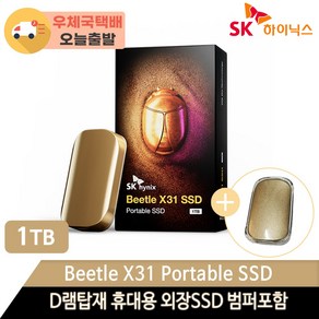 SK하이닉스 Beetle X31 DRAM 탑재 외장 SSD + 전용 케이스, SKHPU3-001T, 1024GB