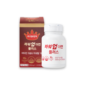 갈릭꼬 파워업아연 플러스, 500mg 120정, 60g, 1개