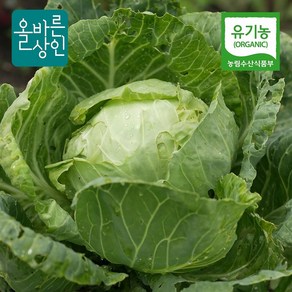 유기농 양배추 농장직송, 3kg, 1박스