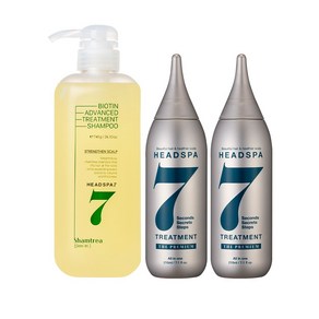 헤드스파7 비오틴 샴트리 샴푸 740g + 트리트먼트 더프리미엄 210ml 2개, 1개