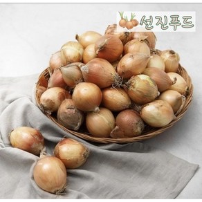 <선진푸드> 창녕 산지직송 햇양파 - 꼬마 양파 (장아찌용), 1개, 10kg