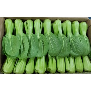 청경채 400g