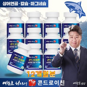 배한호 원장의 명작 미국산 콘드로이친 칼슘 마그네슘 올인원 저분자 상어연골 무릎 관절영양제, 1세트, 360회분