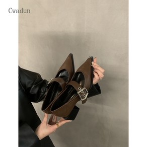 Cwadun 가을 겨울 뾰족한 여성용 가죽 신발 AA319