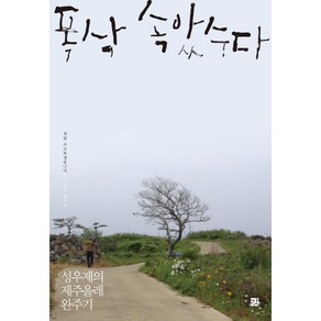 폭삭 속았수다:성우제의 제주올레 완주기, 강, 성우제 저