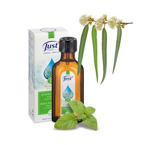 스위스유스트 31 허브 오일 대용량, 1개