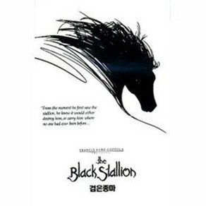 [DVD] 검은 종마 (The Black Stallion)