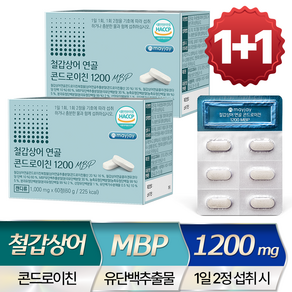 철갑상어 연골 콘드로이친 1200 MBP 저분자 식약청 인증 HACCP, 60g, 2개