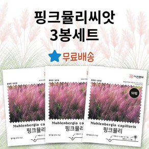 [주주씨앗] 핑크뮬리씨앗 50립 3봉세트 털쥐꼬리새 꽃씨 종자 씨앗 봄 가을 파종, 3개