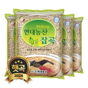 현대농산 국산 압맥 4kg (1kgx4봉)