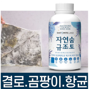 결로방지페인트 자연숨 규조토페인트 1kg 곰팡이방지 벽지 항균 베란다 실내 단열페인트