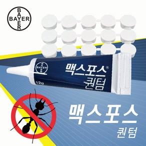 바이엘 개미약 맥스포스퀀텀12g+원터치먹이캡10개