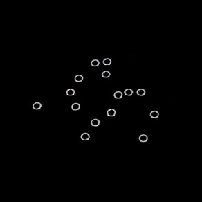 해동 메탈 O링 HA-849 민물소품, S_1.2, 1개