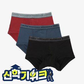 [라쉬반 스탠다드] 남성팬티 시그니처 라인 3종