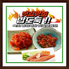 속초 중앙시장 30년 전통 젓갈 맛집 12종 젓갈 500g, 멍게젓 500g