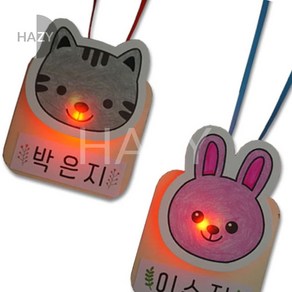 헤이지 LED 동물이름표 목걸이 5인 만들기키트