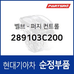 벨브-퍼지 컨트롤 (289103C200) 현대모비스 부품몰 쏘나타YF 그랜저HG 그랜저IG 벨로스터 벨로스터N