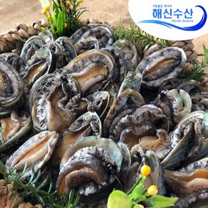 해신수산* 완도활전복 라면전복 40-70미 1kg 산지직송(평일오후2시 당일출고), 1개