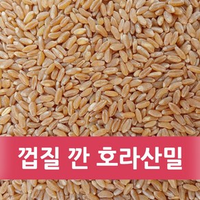 껍질 깐 호라산밀 10kg (2024년산)