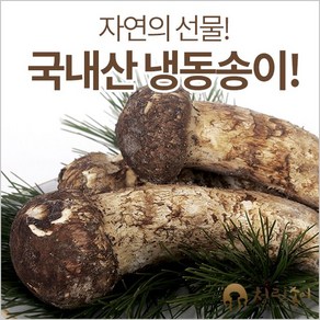 청림송이(청림상사) 자연산 송이버섯(냉동), 1박스, 국산냉동 송이버섯/가정용(개산품)/500g