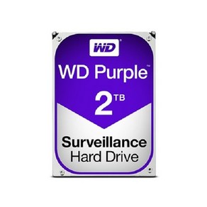 WD CCTV 녹화기 전용 Puple HDD, 810011, 2TB