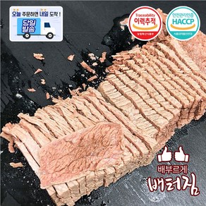 (당일출돼지) 곰탕 수육 삶은 차돌양지 소양지, 1개, 500g