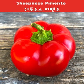 쉽 노스 피멘토 파프리카 Sheepnose Pimento 달콤한 희귀파프리카 희귀고추 교육체험용 세트, 1개